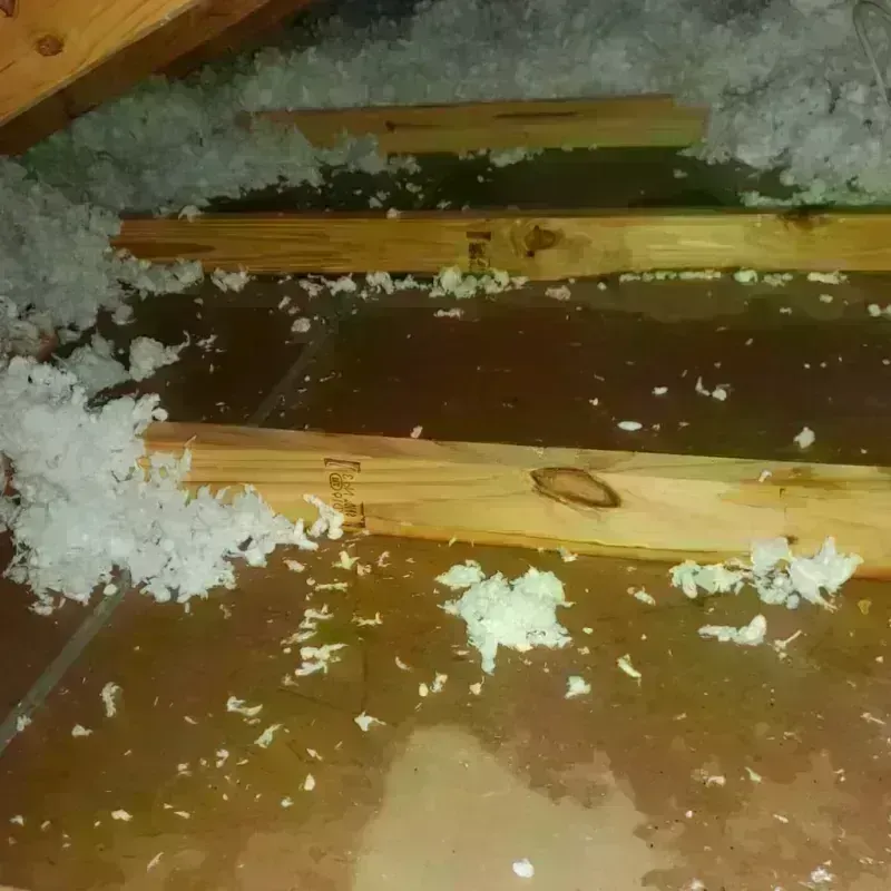 Attic Water Damage in McRae, GA